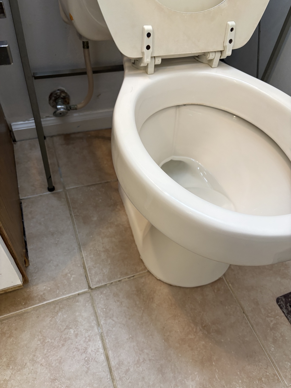 After bathroom toilet and surrounding floor reset
